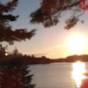 Meet your Posher, Timothy